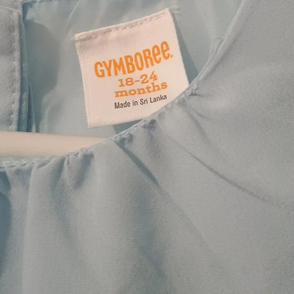Gymboree/Dress/Girls/18-24M/Blue/Owls Glitter Bow Party